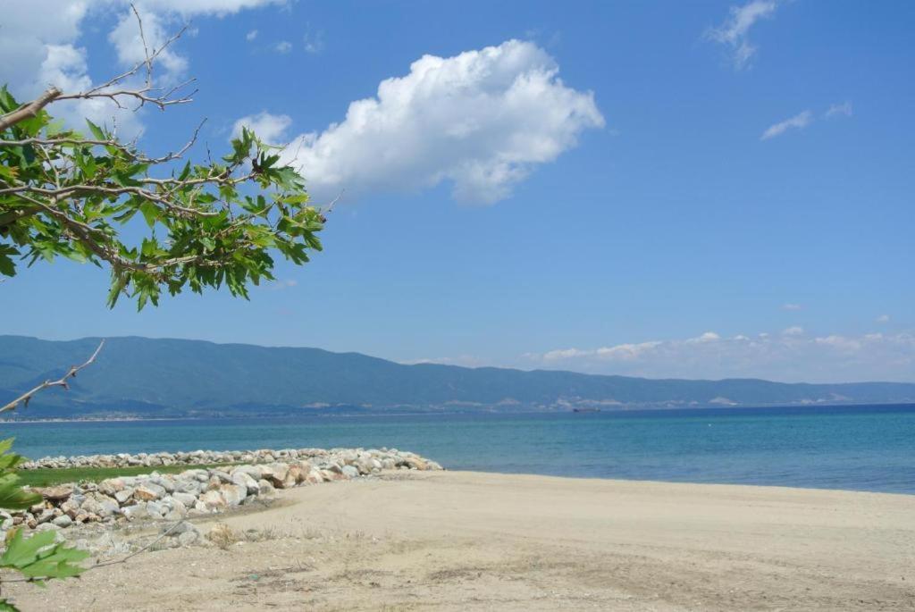Balance Accommodation Sztavrósz Kültér fotó
